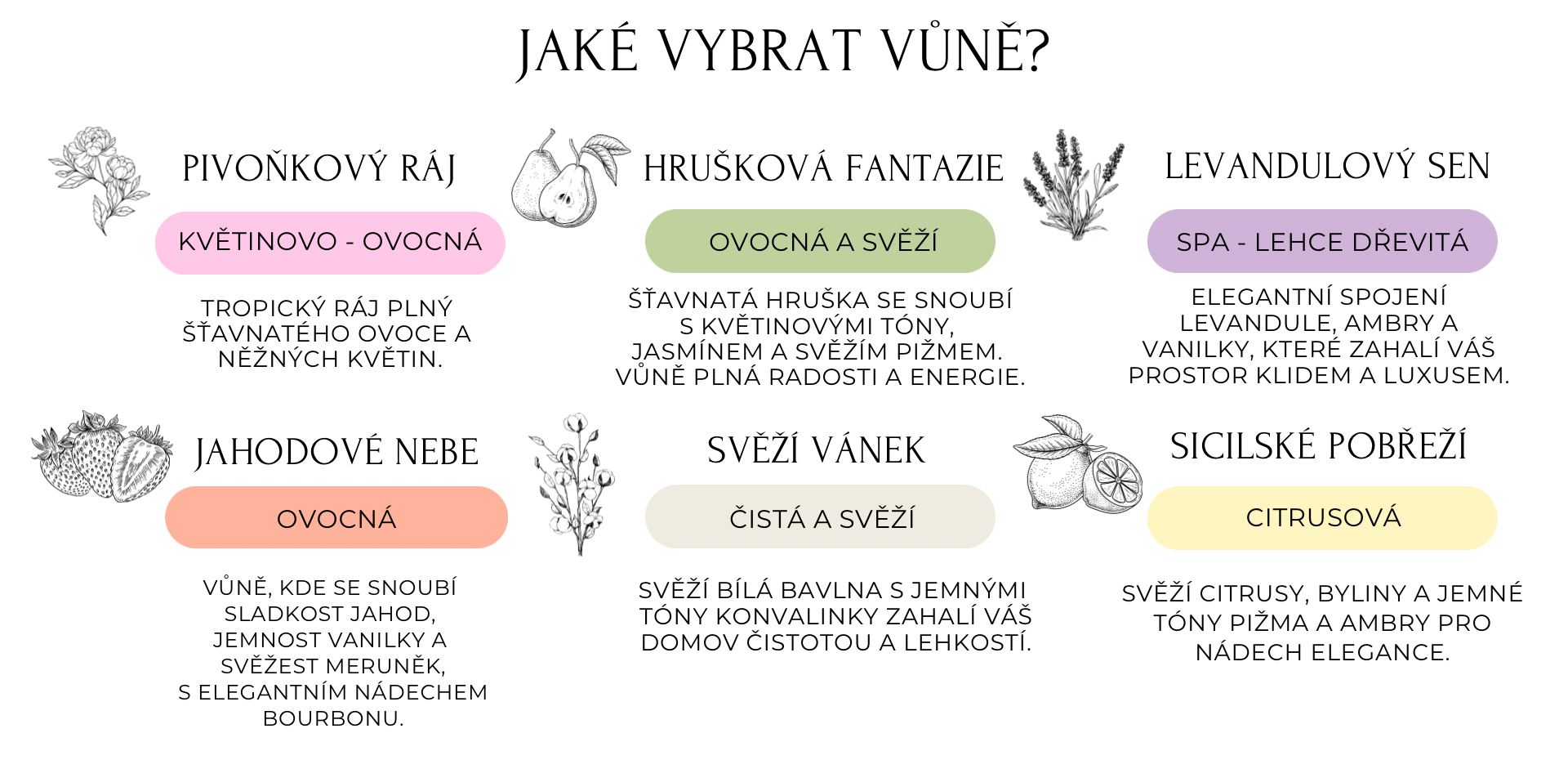 Obrázek WhatsApp, 2025-01-18 v 12.12.43_684c3353